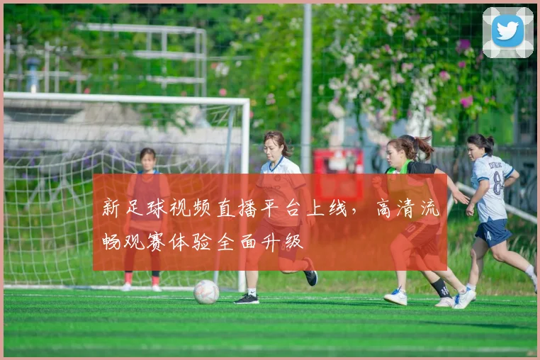 新足球视频直播平台上线，高清流畅观赛体验全面升级